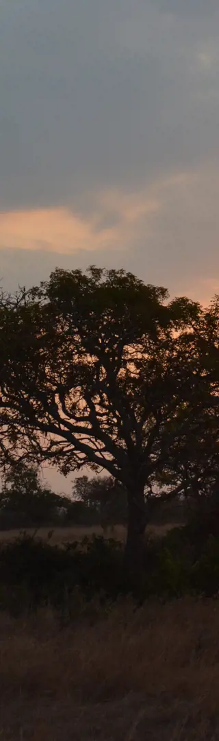 Abendstimmung im Nationalpark